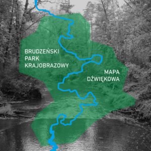 Fotografia przedstawia wydawnictwo w postaci płyty CD w szaro-zielono-niebieskiej okładce z napisem "Brudzeński Park Krajobrazowy. Mapa dźwiękowa"